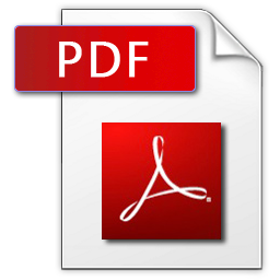 PDF-Dokument